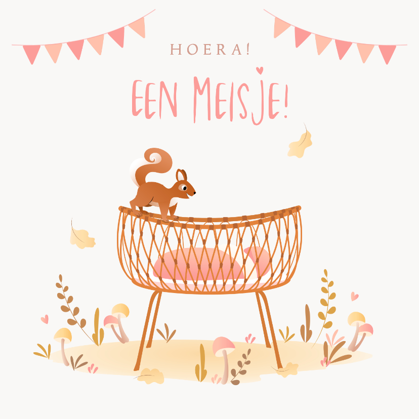 Felicitatiekaarten - Felicitatie geboorte dochter met rotan wiegje en eekhoorn
