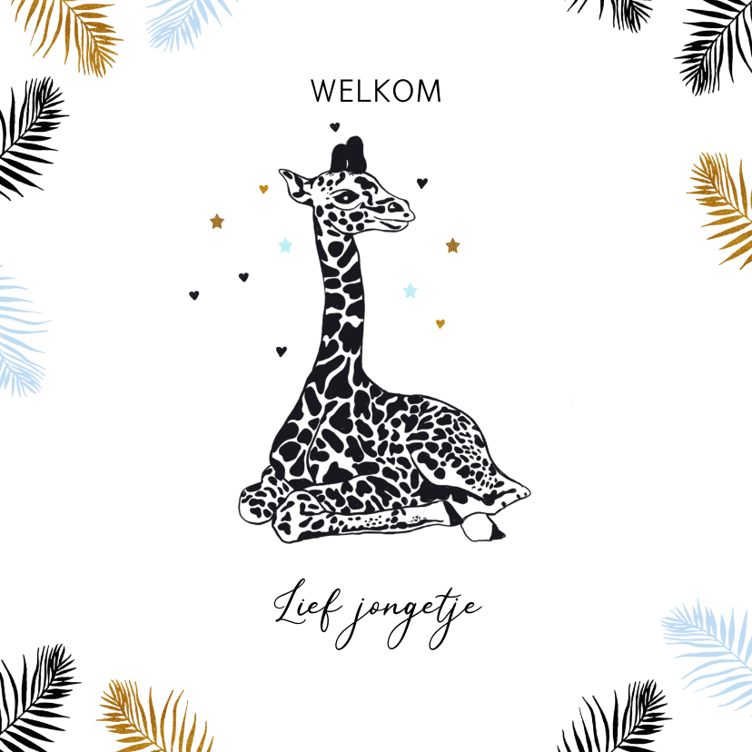 Felicitatie geboorte giraffe jongen - Felicitatiekaarten Felicitatiekaarten - Felicitatie geboorte giraffe jongen