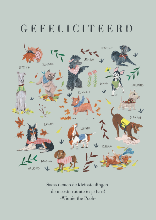 Felicitatie geboorte honden beestenboel - Felicitatiekaarten Felicitatiekaarten - Felicitatie geboorte honden beestenboel