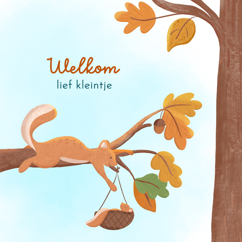 Felicitatiekaarten - Felicitatie geboorte jongen eekhoorn met baby in bos