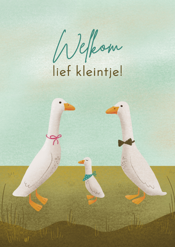 Felicitatiekaarten - Felicitatie geboorte jongen loopeendjes in pastelkleuren