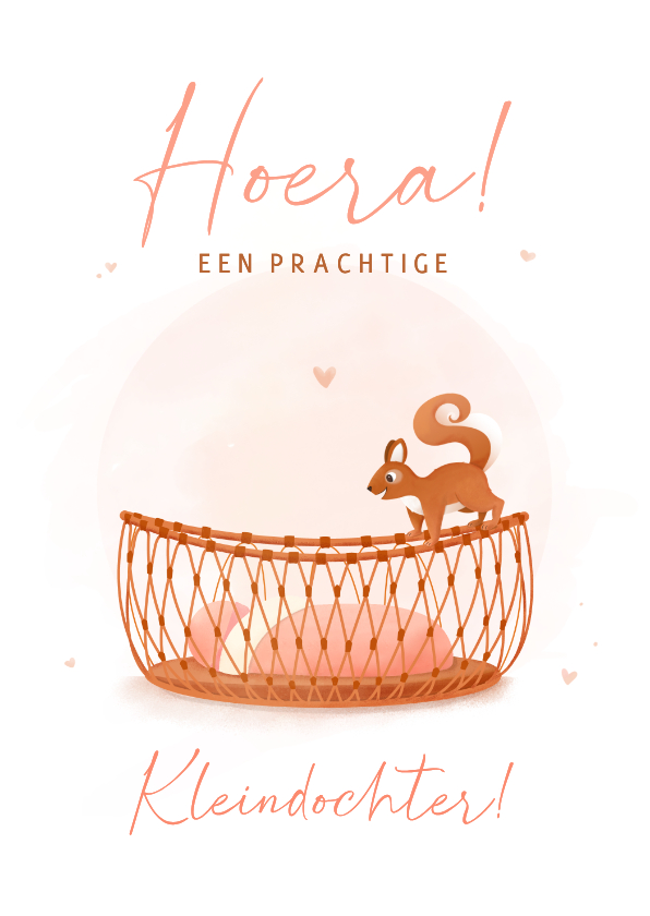 Felicitatiekaarten - Felicitatie geboorte kleindochter rotan wiegje en eekhoorn