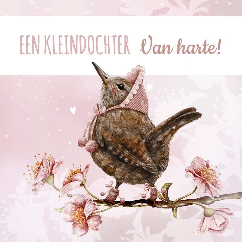 Felicitatiekaarten - Felicitatie geboorte kleindochter vogeltje op bloesemtak