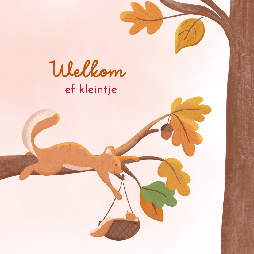 Felicitatie geboorte meisje eekhoorn met baby in bos - Felicitatiekaarten Felicitatiekaarten - Felicitatie geboorte meisje eekhoorn met baby in bos