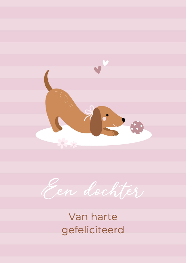 Felicitatiekaarten - Felicitatie geboorte meisje teckel met bal