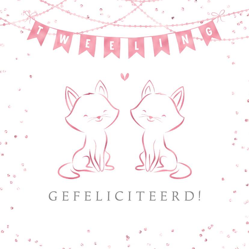 Felicitatiekaarten - Felicitatie geboorte meisjes tweeling lijntekening katjes