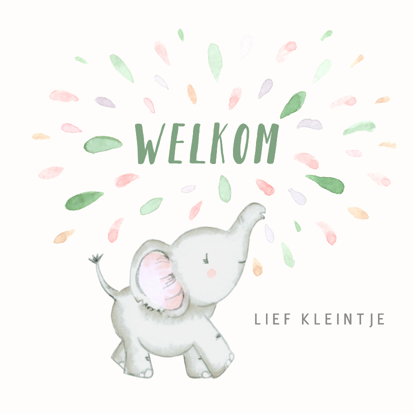 Felicitatie geboorte - olifant met gekleurde spetters - Felicitatiekaarten Felicitatiekaarten - Felicitatie geboorte - olifant met gekleurde spetters