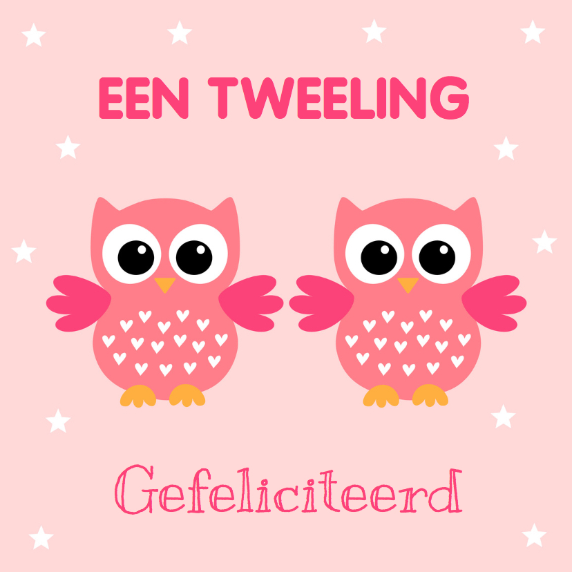 Felicitatiekaarten - Felicitatie geboorte tweeling meisjes uiltjes