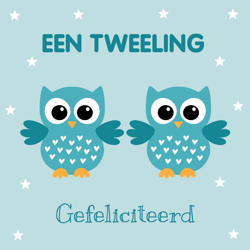 Felicitatiekaarten - Felicitatie geboorte tweeling uiltjes jongens