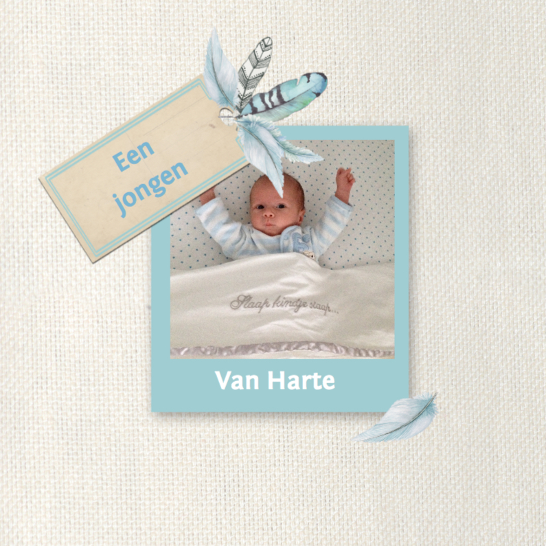 felicitatie geboorte veren zoon - Felicitatiekaarten Felicitatiekaarten - felicitatie geboorte veren zoon