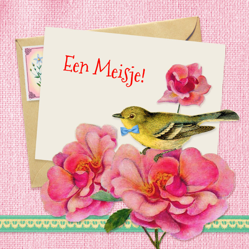 Felicitatie geboorte vogeltje - Felicitatiekaarten Felicitatiekaarten - Felicitatie geboorte vogeltje