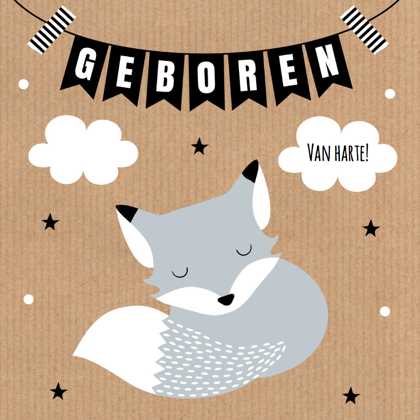 Felicitatiekaarten - Felicitatie geboorte vosje kraft