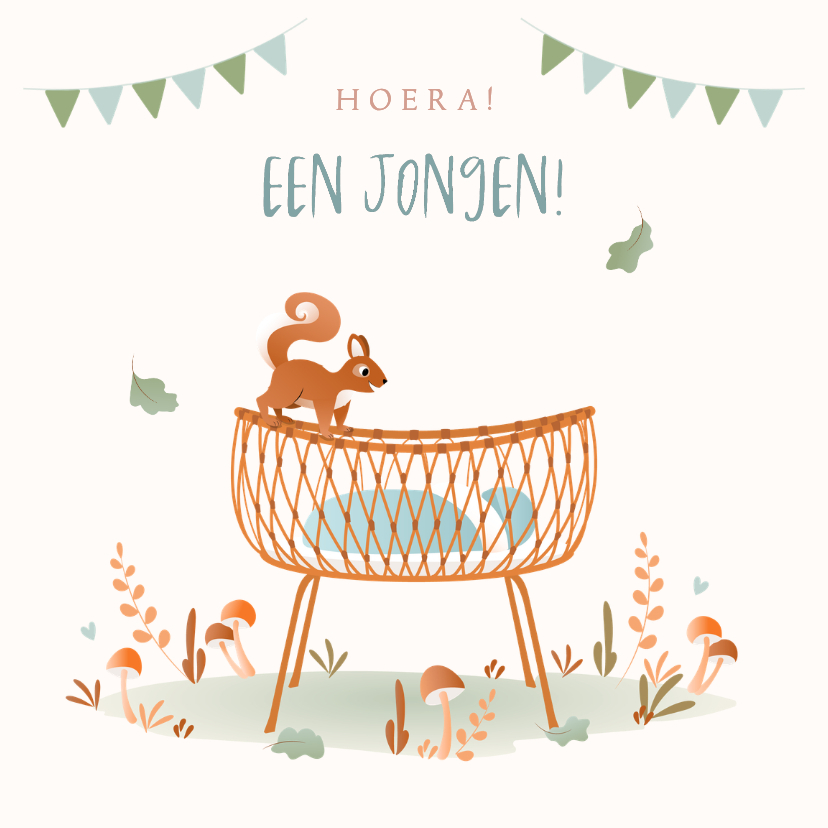 Felicitatiekaarten - Felicitatie geboorte zoon met rotan wiegje en eekhoorn