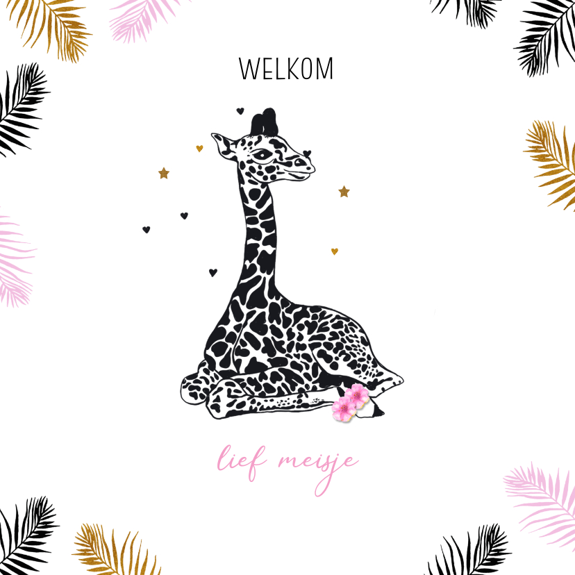 Felicitatie giraffe meisje - Felicitatiekaarten Felicitatiekaarten - Felicitatie giraffe meisje