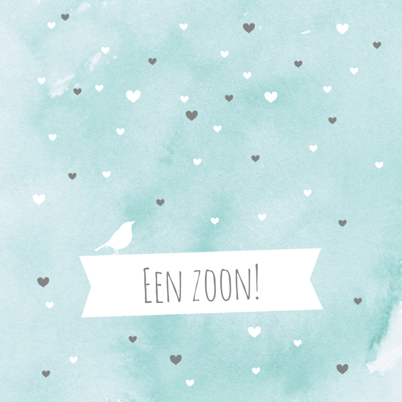 Felicitatie-Hartjes,jongen,water - Felicitatiekaarten Felicitatiekaarten - Felicitatie-Hartjes,jongen,water