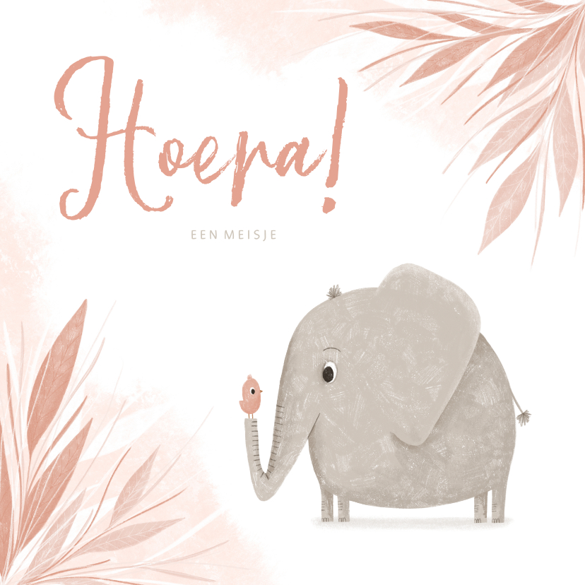 Felicitatie hoera een meisje olifantje met vogel jungle - Felicitatiekaarten Felicitatiekaarten - Felicitatie hoera een meisje olifantje met vogel jungle