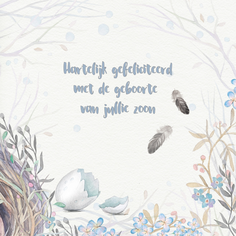 Felicitatie jongen -ei- - Felicitatiekaarten Felicitatiekaarten - Felicitatie jongen -ei-
