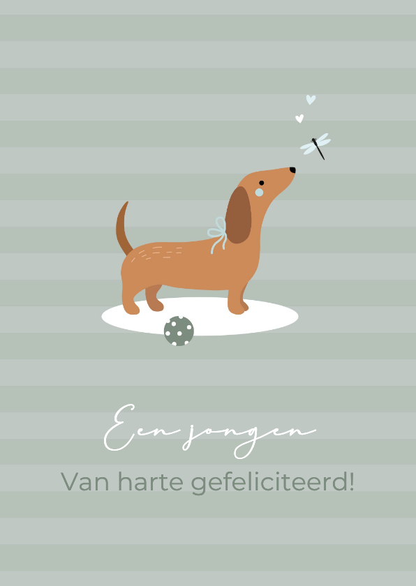 Felicitatiekaarten - Felicitatie jongen teckel met bal