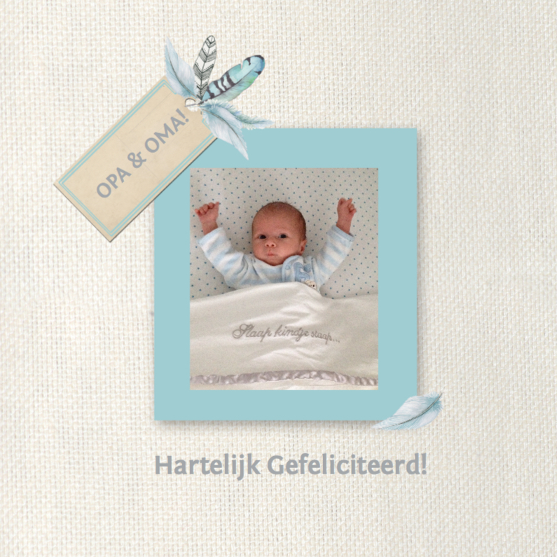 Felicitatie kleinzoon veren - Felicitatiekaarten Felicitatiekaarten - Felicitatie kleinzoon veren