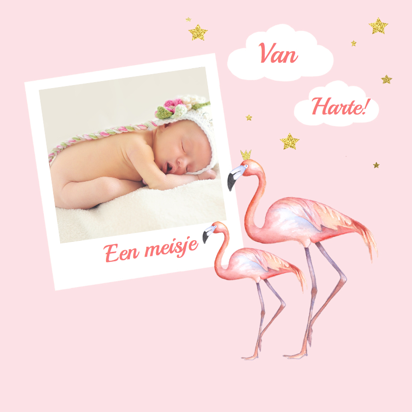 Felicitatiekaarten - Felicitatie meisje flamingo foto