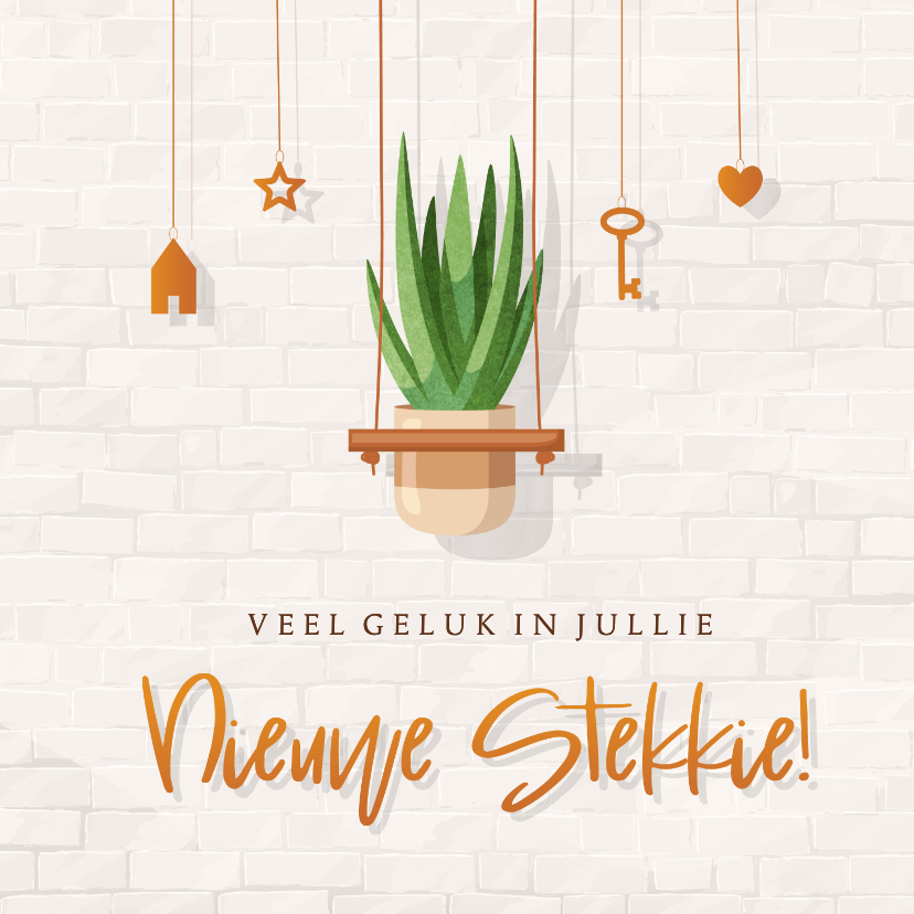 Felicitatiekaarten - Felicitatie nieuwe woning hangplantje op witte stenen muur