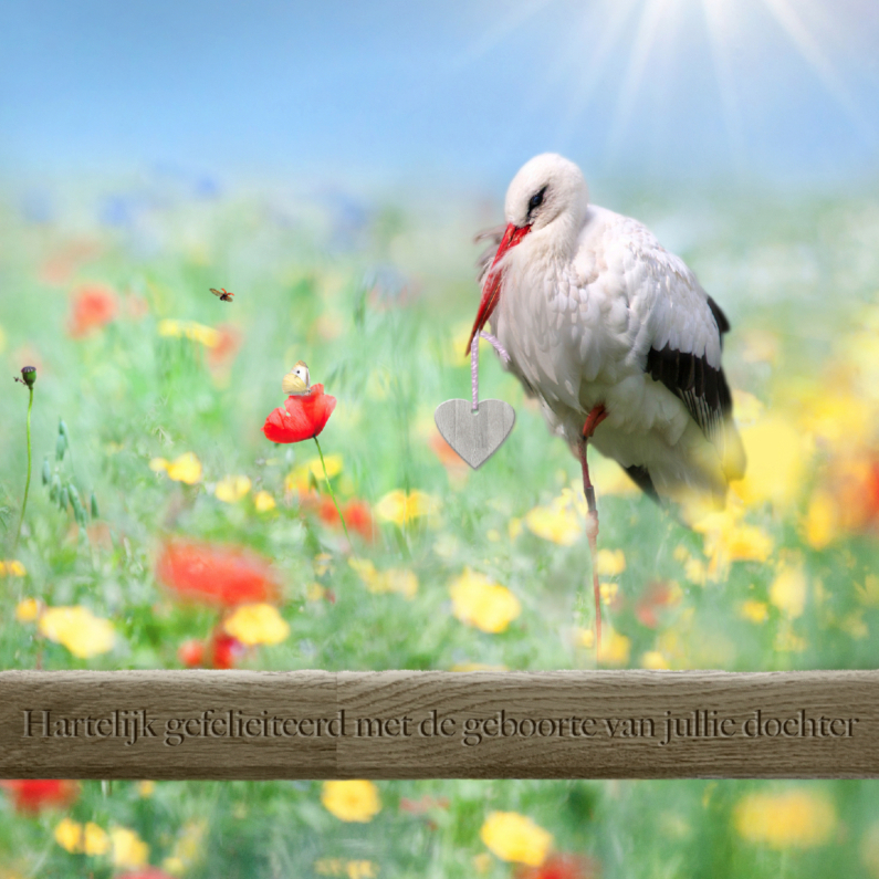 Felicitatie - ooievaar - meisje - Felicitatiekaarten Felicitatiekaarten - Felicitatie - ooievaar - meisje