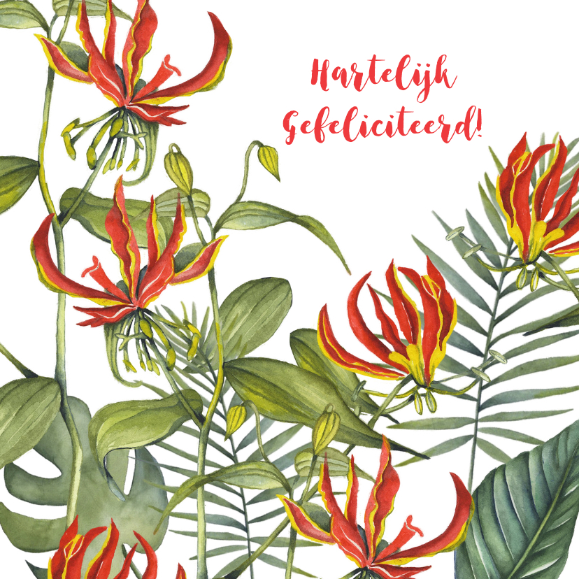 Felicitatiekaarten - Felicitatie tropische bloemen