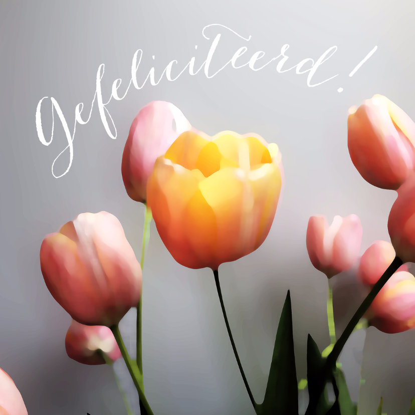 Felicitatie tulpen schilderstijl - Felicitatiekaarten Felicitatiekaarten - Felicitatie tulpen schilderstijl