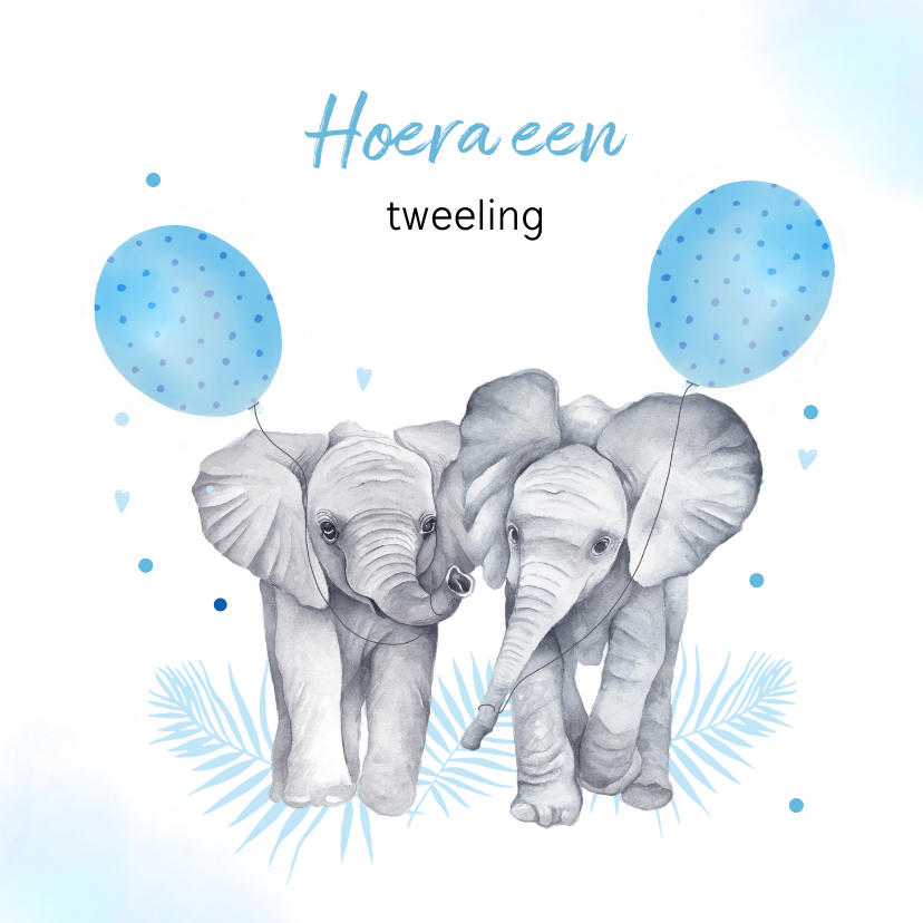 Felicitatiekaarten - Felicitatie tweeling jongetjes olifantjes ballon