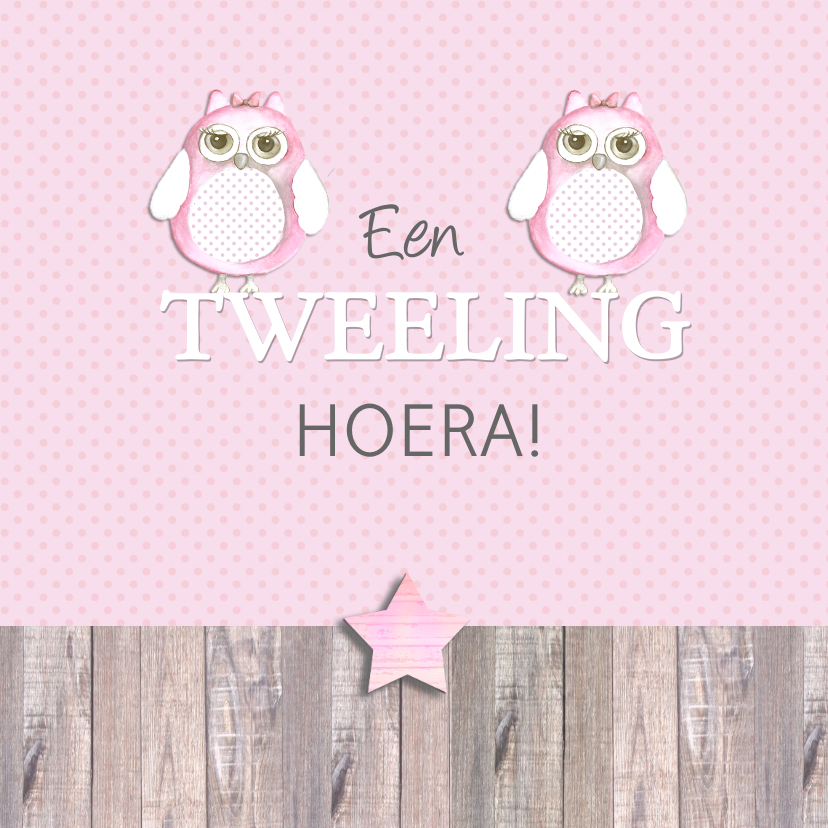 felicitatie tweeling uiltje - Felicitatiekaarten Felicitatiekaarten - felicitatie tweeling uiltje