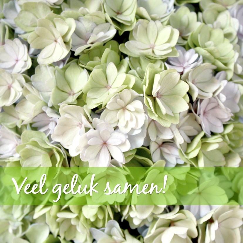 Felicitatie veel geluk samen - Felicitatiekaarten Felicitatiekaarten - Felicitatie veel geluk samen