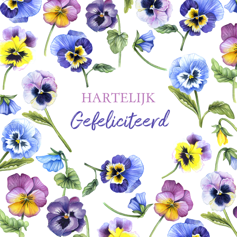 Felicitatie viooltjes - Felicitatiekaarten Felicitatiekaarten - Felicitatie viooltjes