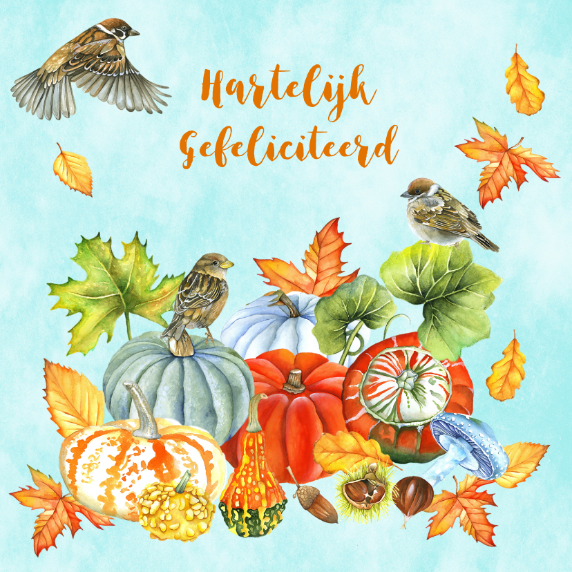 Felicitatie vogeltjes herfst - Felicitatiekaarten Felicitatiekaarten - Felicitatie vogeltjes herfst