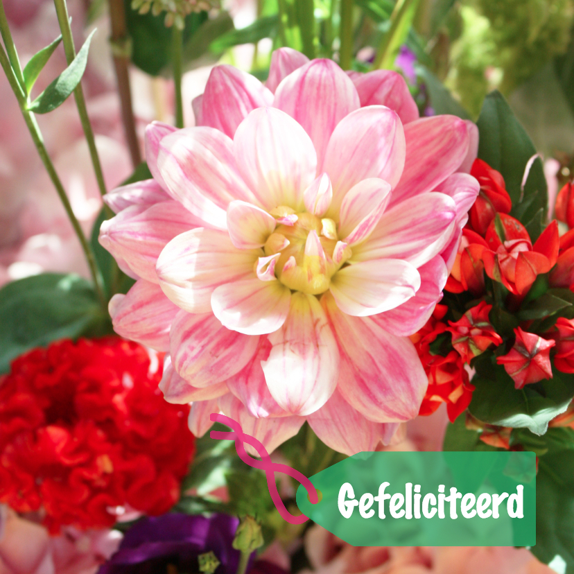 Felicitatie vrolijk boeket - Felicitatiekaarten Felicitatiekaarten - Felicitatie vrolijk boeket
