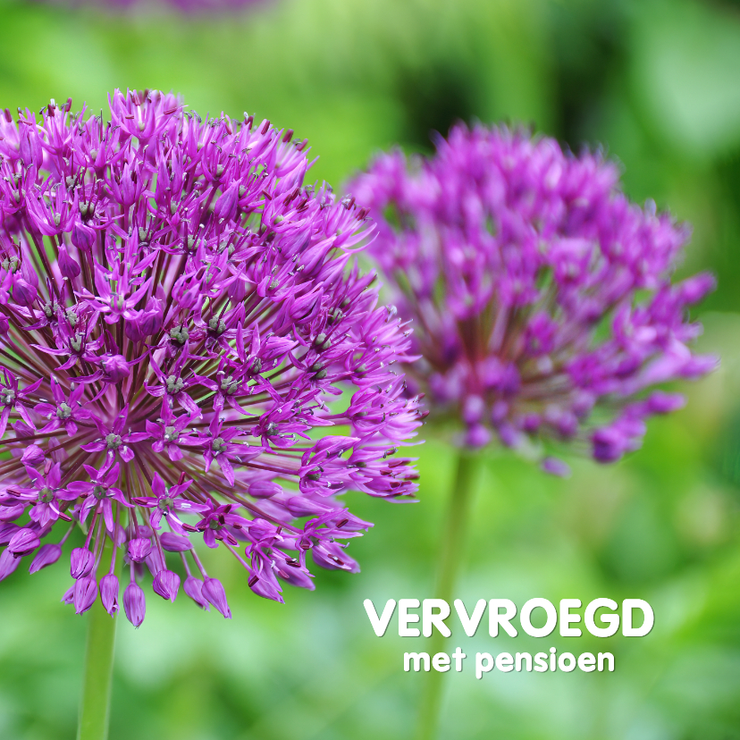 Felicitatiekaart alliums vervroegd met pensioen - Felicitatiekaarten Felicitatiekaarten - Felicitatiekaart alliums vervroegd met pensioen