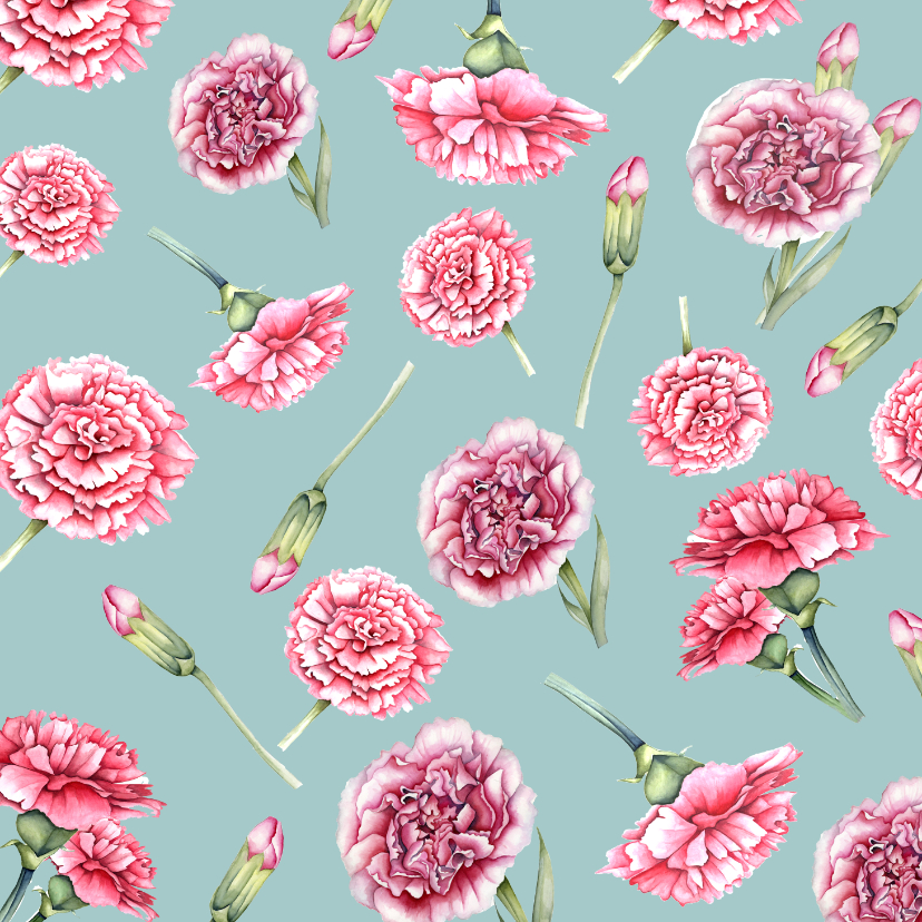 Felicitatiekaarten - Felicitatiekaart bloemen met anjers en vlinders