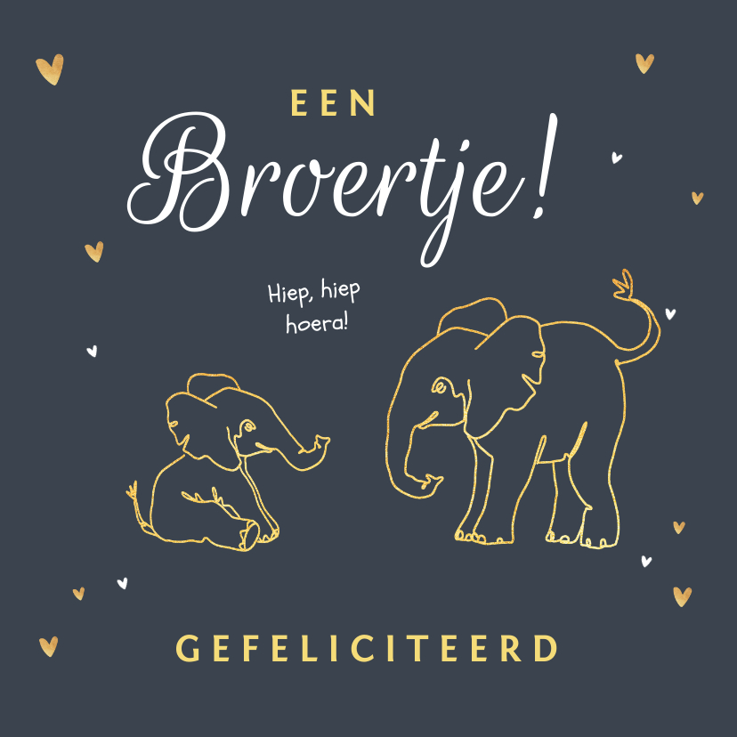 Felicitatiekaarten - Felicitatiekaart broer of zus met olifantjes en hartjes