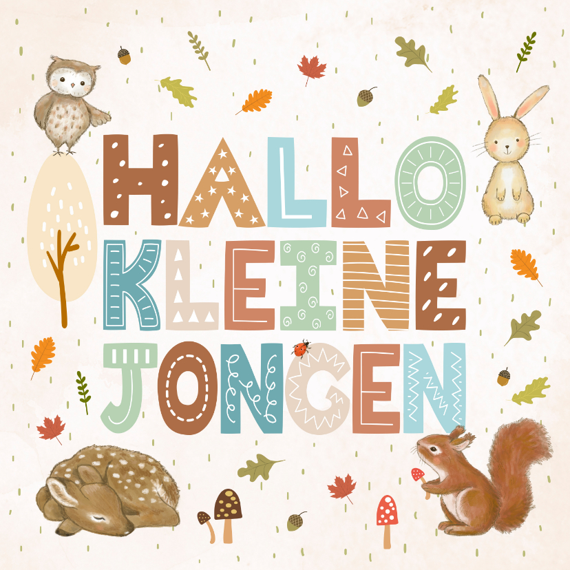 Felicitatiekaarten - Felicitatiekaart dieren hallo kleine jongen