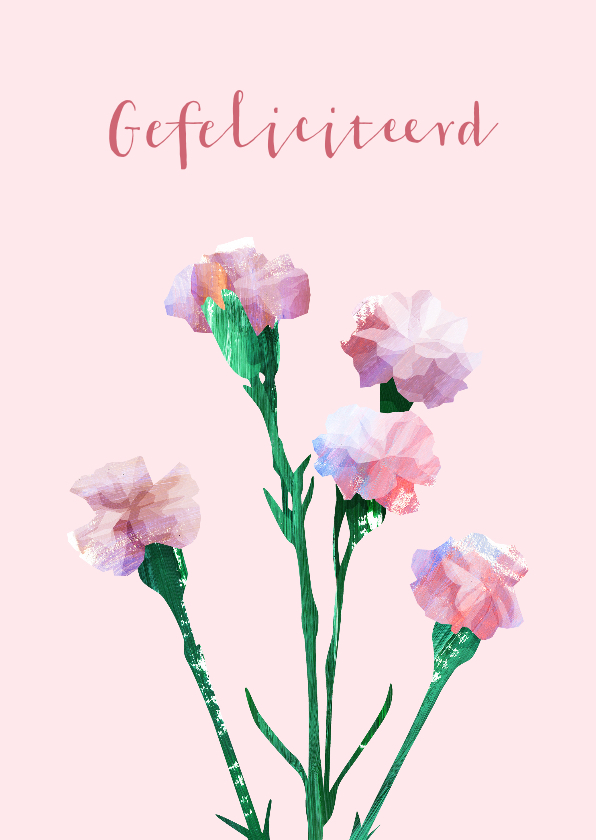 Felicitatiekaart een bosje roze anjers - Felicitatiekaarten Felicitatiekaarten - Felicitatiekaart een bosje roze anjers