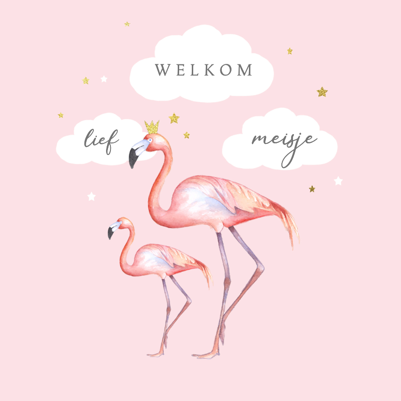 Felicitatiekaarten - Felicitatiekaart flamingo geboorte