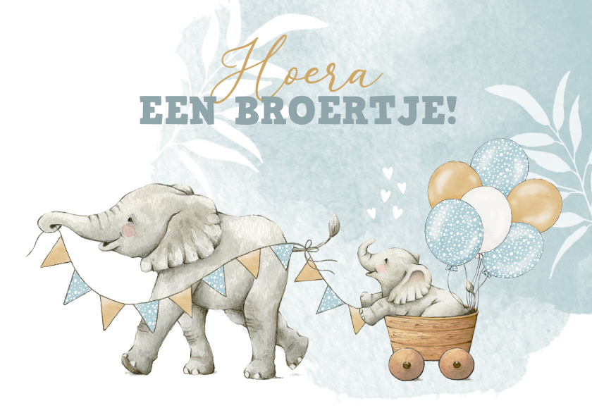Felicitatiekaarten - Felicitatiekaart geboorte broertje met vrolijke olifantjes