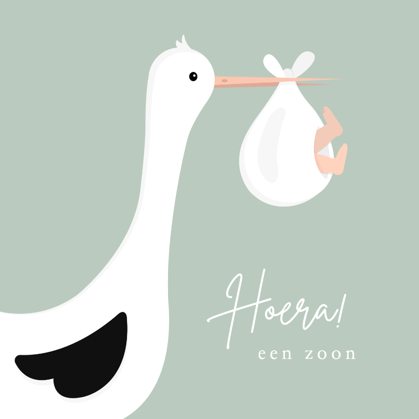 Felicitatiekaart geboorte jongen met ooievaar - Felicitatiekaarten Felicitatiekaarten - Felicitatiekaart geboorte jongen met ooievaar