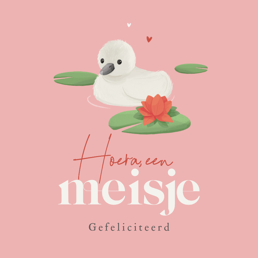 Felicitatiekaarten - Felicitatiekaart geboorte lief zwaantje 