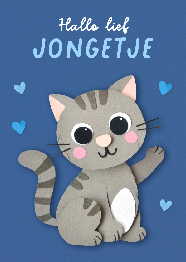 Felicitatiekaarten - Felicitatiekaart geboorte lieve kitten jongen