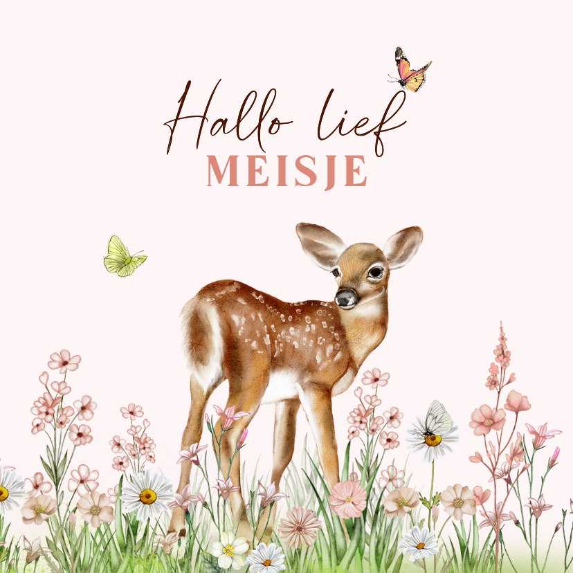 Felicitatiekaart geboorte meisje met hertje - Felicitatiekaarten Felicitatiekaarten - Felicitatiekaart geboorte meisje met hertje