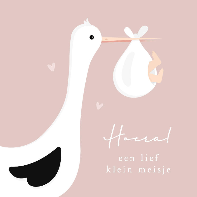 Felicitatiekaart geboorte meisje met ooievaar - Felicitatiekaarten Felicitatiekaarten - Felicitatiekaart geboorte meisje met ooievaar