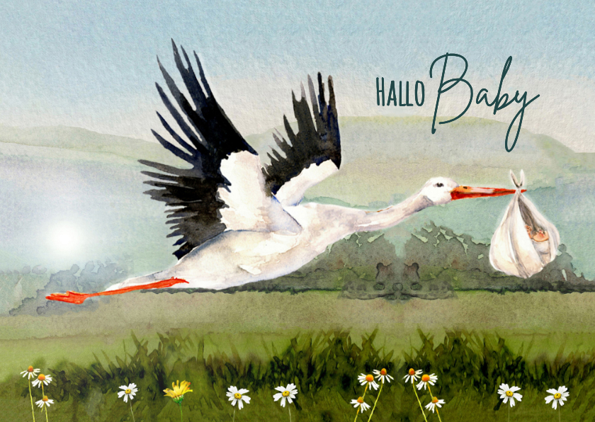 Felicitatiekaart geboorte ooievaar met baby - Felicitatiekaarten Felicitatiekaarten - Felicitatiekaart geboorte ooievaar met baby