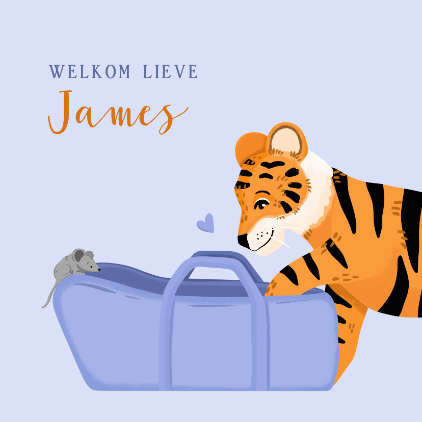 Felicitatiekaarten - Felicitatiekaart geboorte tijger met wiegje en muis