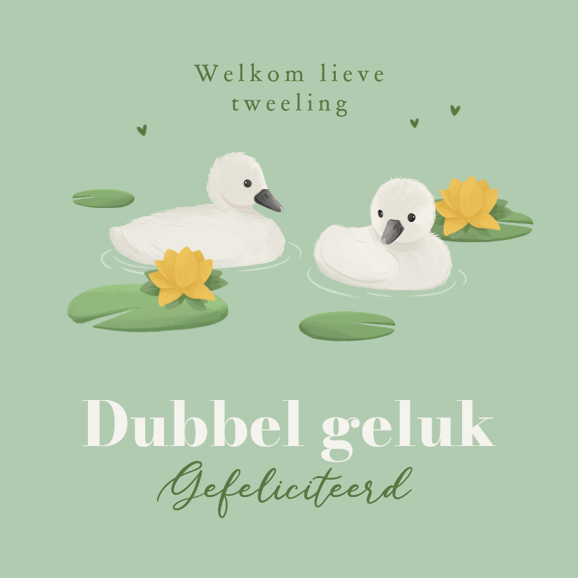 Felicitatiekaarten - Felicitatiekaart geboorte tweeling dieren zwanenkuikens