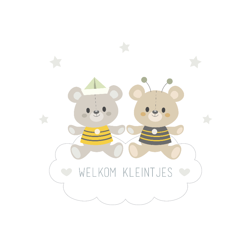 Felicitatiekaart geboorte tweeling jongens - Felicitatiekaarten Felicitatiekaarten - Felicitatiekaart geboorte tweeling jongens